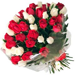 3932 Buquê 50 rosas My Crush