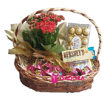 4017 Cesta Doce Encanto