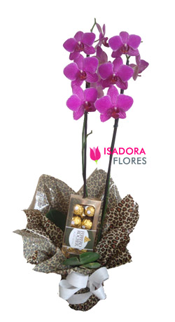 4073 Orquídea + Chocolate Ferrero Rocher