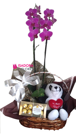 4075 Kit com Orquídea 