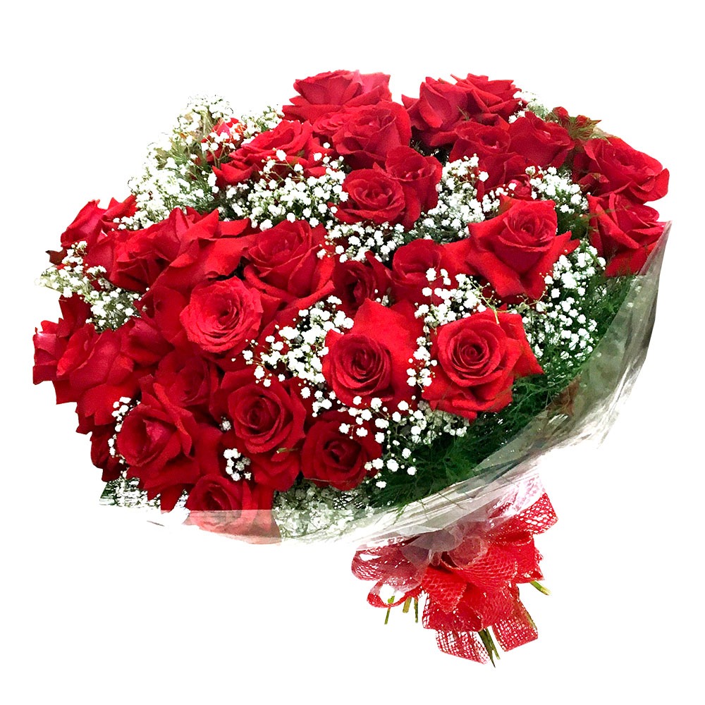4433 Explosão de Amor 