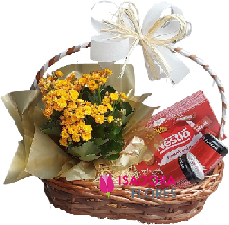 4561 Cesta calanchoe