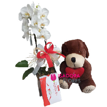5026 Kit Orquídea
