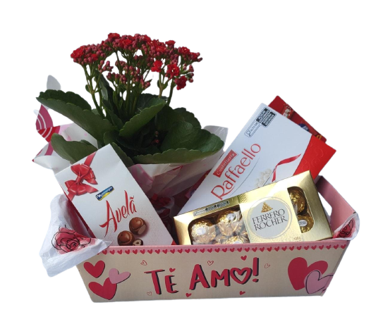 6511 Cesta com Carinho