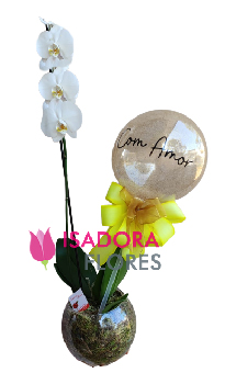 6645 Orquídea com balão personalizado >Escolha a frase<