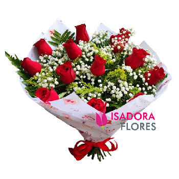 6902 1 Dz de Rosas Vermelhas